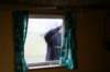 picture20_small.jpg