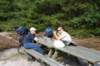 picture42_small.jpg