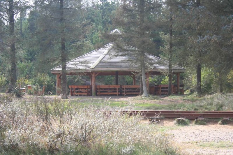 picture44.jpg