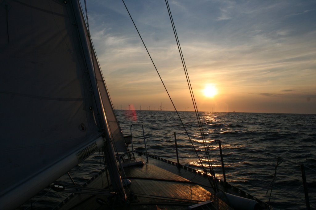hornsrev018.jpg