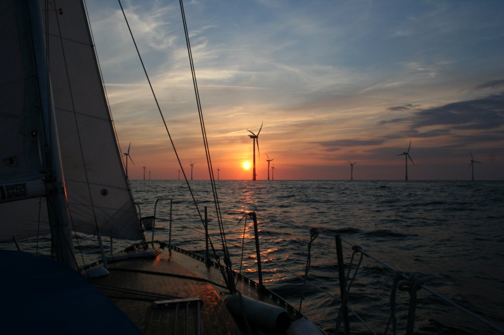 hornsrev029.jpg